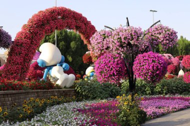 Dubai UAE 07 . 12 . 2022 . Plants and flowers in the Miracle Garden in Dubai.