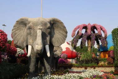 Dubai UAE 07 . 12 . 2022 . Plants and flowers in the Miracle Garden in Dubai.