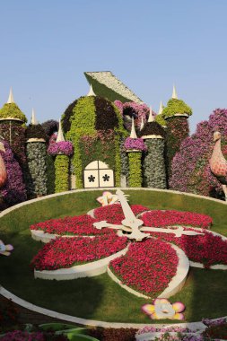 Dubai UAE 07 . 12 . 2022 . Plants and flowers in the Miracle Garden in Dubai.