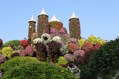 Dubai UAE 07 . 12 . 2022 . Plants and flowers in the Miracle Garden in Dubai.