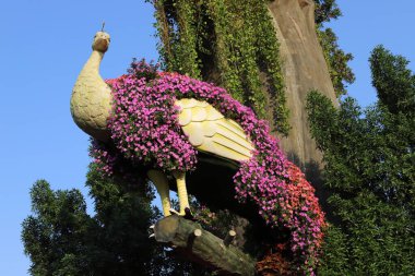 Dubai UAE 07 . 12 . 2022 . Plants and flowers in the Miracle Garden in Dubai.