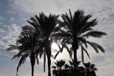 True sunlight and artificial lighting. Abstract photo of light and dark.