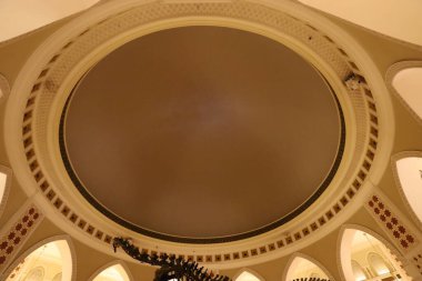 Architectural illustration. Fragments of the construction of buildings and structures.