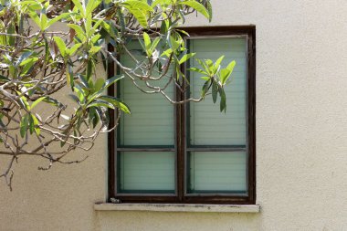 Small window in the big city.