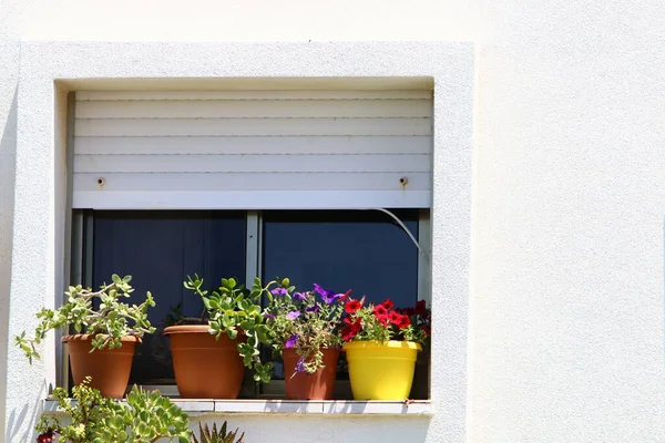 Small window in the big city.