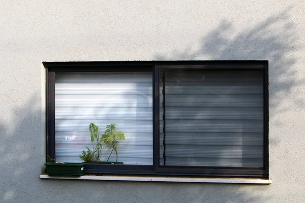 Small window in the big city.