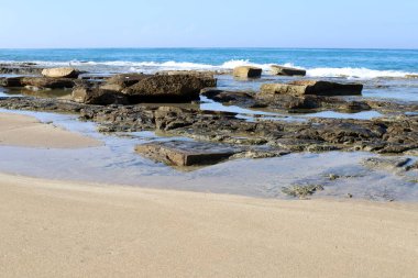 Rocky shore of the Mediterranean Sea in northern Israel.