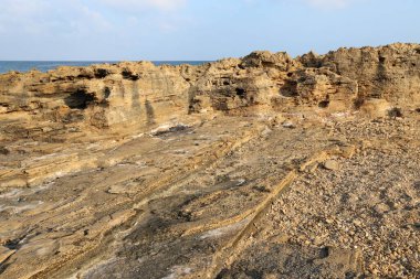 Rocky shore of the Mediterranean Sea in northern Israel.