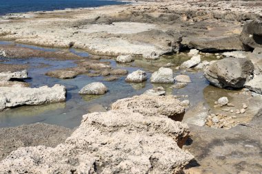 Rocky shore of the Mediterranean Sea in northern Israel.