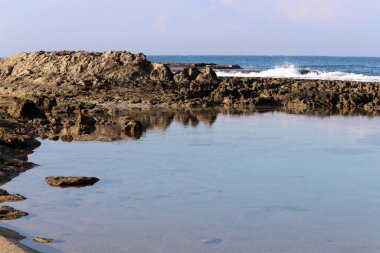Rocky shore of the Mediterranean Sea in northern Israel.