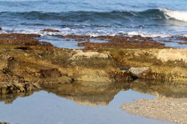 Rocky shore of the Mediterranean Sea in northern Israel.