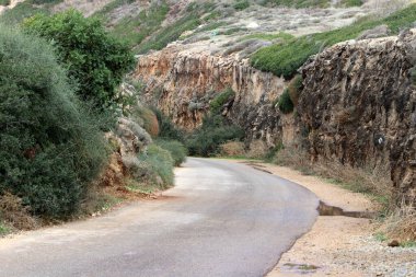 Kuzey İsrail 'deki dağlarda yol.