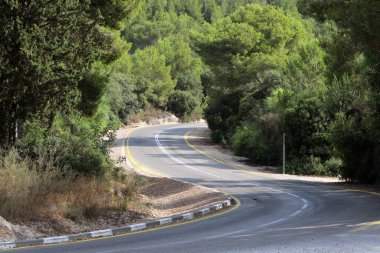 Kuzey İsrail 'deki dağlarda yol.