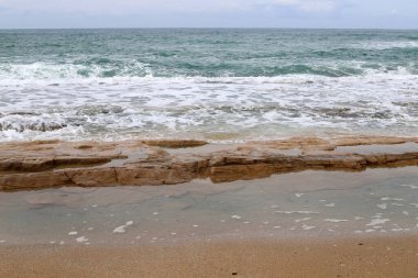 Kuzey İsrail'Akdeniz Denizi'nin kıyısında.