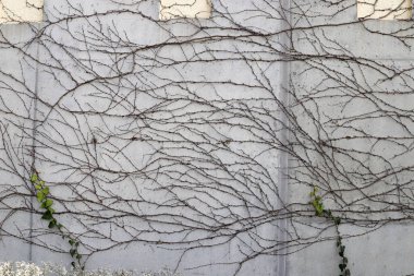 İnşaat alanındaki mimari detaylar. Vektör illüstrasyonu .