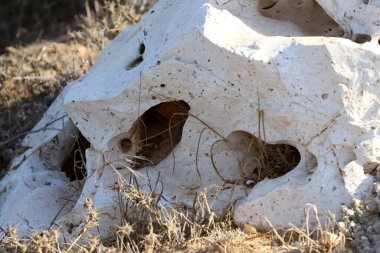 Taşın dokusu ve yapısı. Doğal doğa geçmişi.
