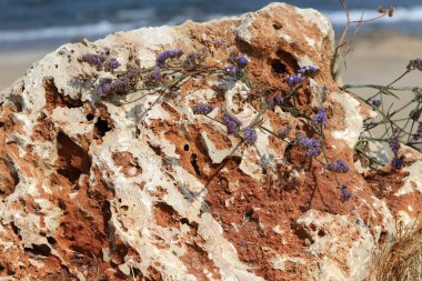 Taşın dokusu ve yapısı. Doğal doğa geçmişi.