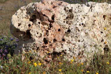 Taşın dokusu ve yapısı. Doğal doğa geçmişi.