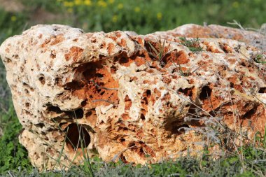 Taşın dokusu ve yapısı. Doğal doğa geçmişi.