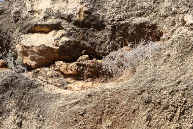 Taşın dokusu ve yapısı. Doğal doğa geçmişi.