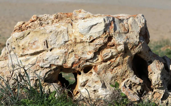 Текстура Структура Камня Естественный Фон — стоковое фото