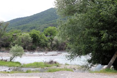 Gürcistan 'da yaz yeşil tepeler ve dağlar.