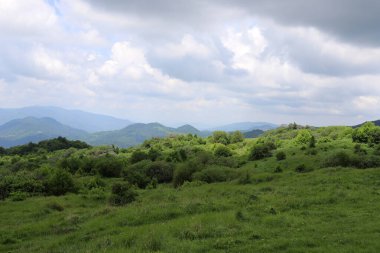 Gürcistan 'da yaz yeşil tepeler ve dağlar.