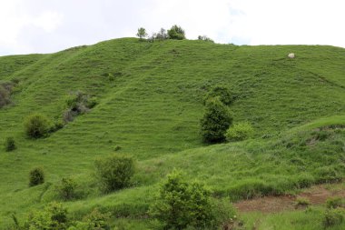 Gürcistan 'da yaz yeşil tepeler ve dağlar.