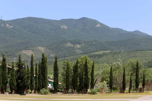 stock image Summer green hills and mountains in Georgia.