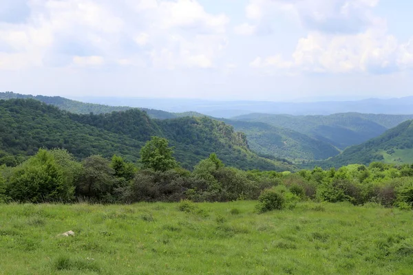 Lato Zielone Wzgórza Góry Gruzji — Zdjęcie stockowe