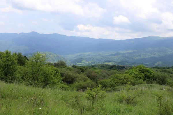 Летние Зеленые Холмы Горы Грузии — стоковое фото