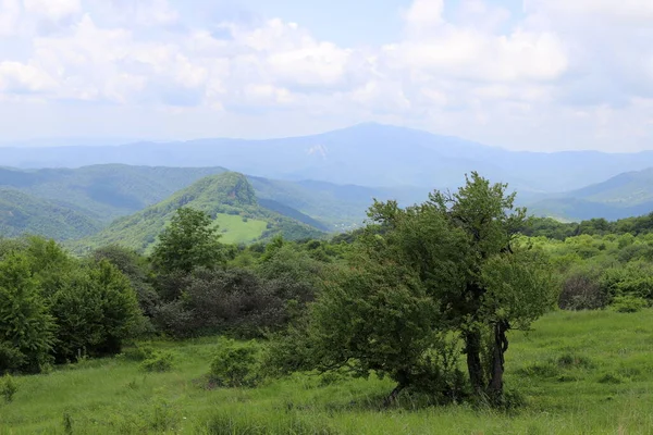 Verano Verdes Colinas Montañas Georgia — Foto de Stock