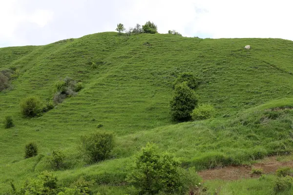 Gürcistan 'da yaz yeşil tepeler ve dağlar.