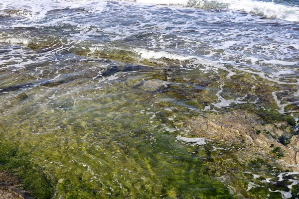Les Algues Vertes Poussent Sur Les Rochers Dans Eau Mer — Photo