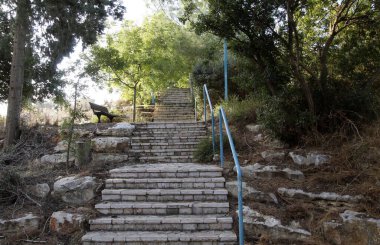 Merdivenler - binaların ve yapıların inşasında mimari bir detay.