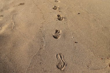 Akdeniz 'deki kumda ayak izleri.