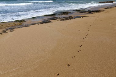 Akdeniz 'deki kumda ayak izleri.