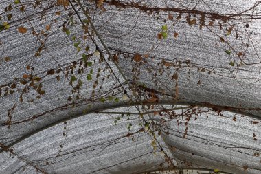 Doğal modern soyut arkaplan.