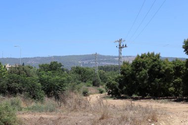 Yalıtkan kabloları olan elektrik direği..