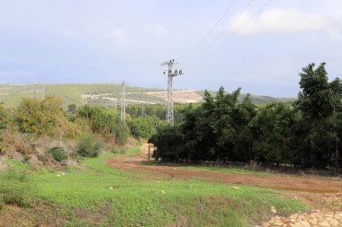Yalıtkan kabloları olan elektrik direği..