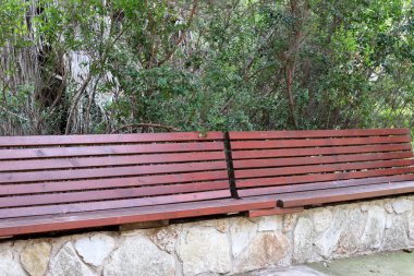 Akdeniz kıyısındaki bir şehir parkında dinlenmek için bankta..