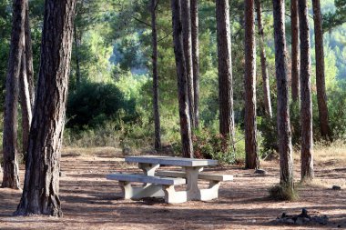 Akdeniz kıyısındaki bir şehir parkında dinlenmek için bankta..