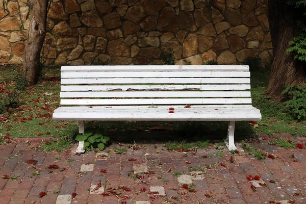 地中海沿岸の都市公園での休息のためのベンチ — ストック写真