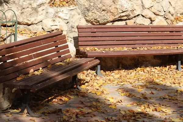 Akdeniz Kıyısındaki Bir Şehir Parkında Dinlenmek Için Bankta — Stok fotoğraf