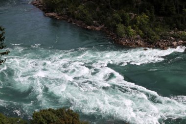Temiz suyu olan bir nehrin kıyısında bitki örtüsü.