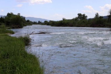 Temiz suyu olan bir nehrin kıyısında bitki örtüsü.