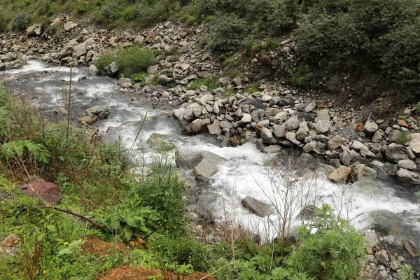Vegetación Orillas Río Con Agua Dulce Limpia —  Fotos de Stock