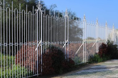 Şehir parkında çit boyunca yeşil bitkiler ve çiçekler yetişir..