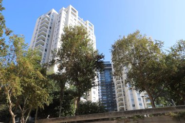 Tel Aviv 'de. İsrail. 01 numara. 01 numara. 2024. Büyük bir şehrin sokaklarında uzun evler ve ağaçlar.