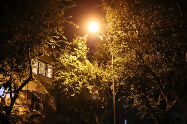 Lamba - geceleri bölgeyi aydınlatmak için fener.